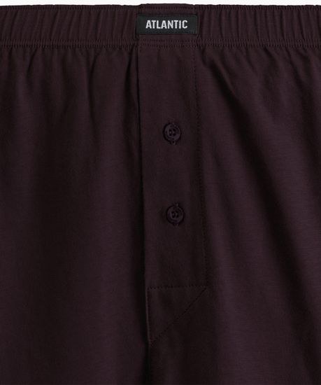 Трусы (2 шт) мужские семейные Atlantic 2MBX-054, хлопок, баклажан + хаки