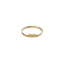 Потолочный светильник Рим / Rim 2600-3500К 24Вт Maytoni mod058cl-l25bsk