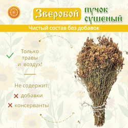 Зверобой пучок.