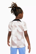 Футболка Nike Tottenham Hotspur 23/24 Academy Pro Junior