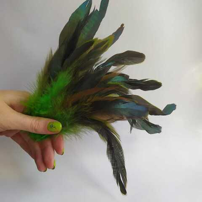 Перья петуха салатовые двухцветные 2 сорт 20 шт.