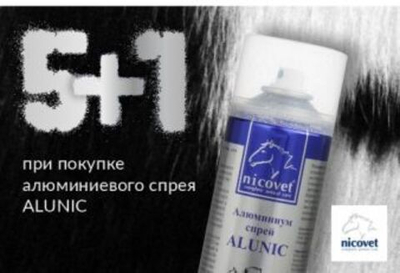 5+1! При покупке 5 флаконов алюминиевого спрея "ALUNIC" шестой флакон в подарок!