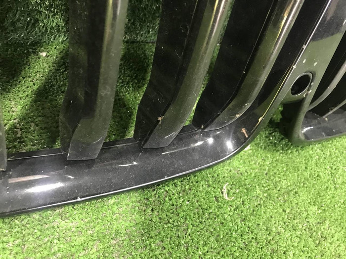 Решетка радиатора BMW X7 G07 (2019-2022)