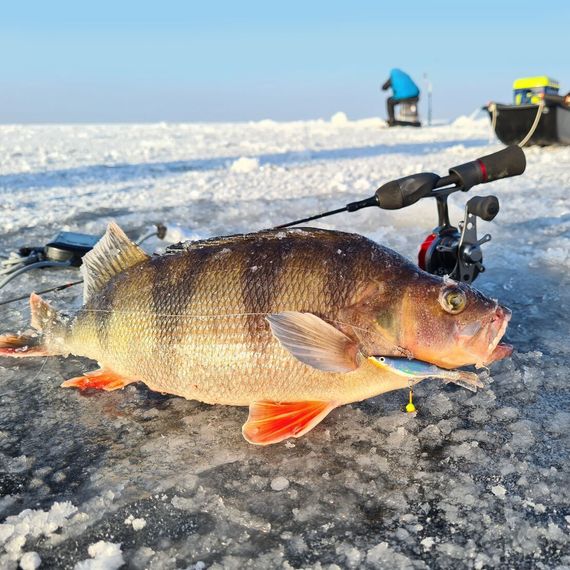 Балансир Lucky John VIKING 4 с тр. 40мм/13H блистер