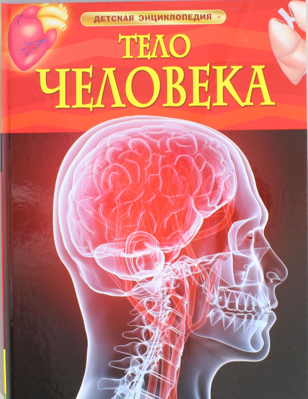 Тело человека. Детская энциклопедия