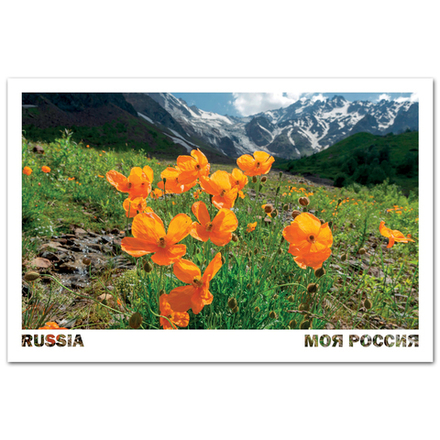 Цейское ущелье. Северная Осетия