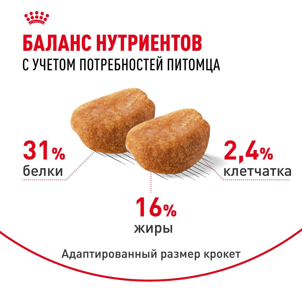 Royal Canin Rottweiller Puppy Корм сухой для щенков породы Ротвейлер до 18 месяцев 12 кг