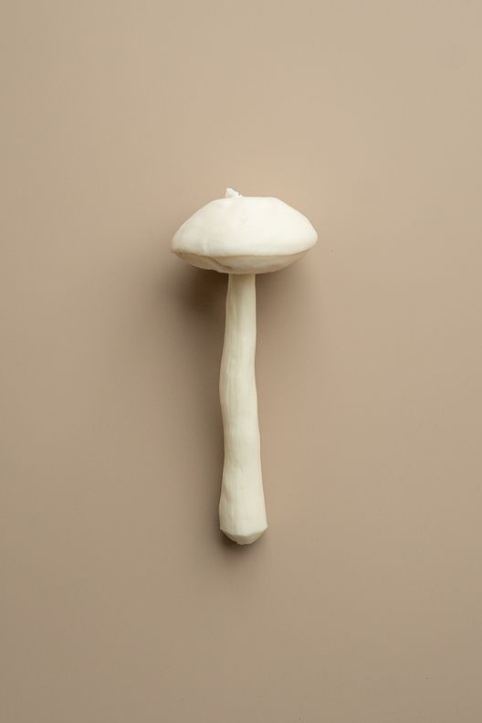 Свеча Гриб Подберезовик / Unification Love