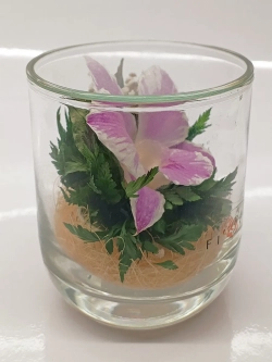 натуральные цветы в стекле, вакуум