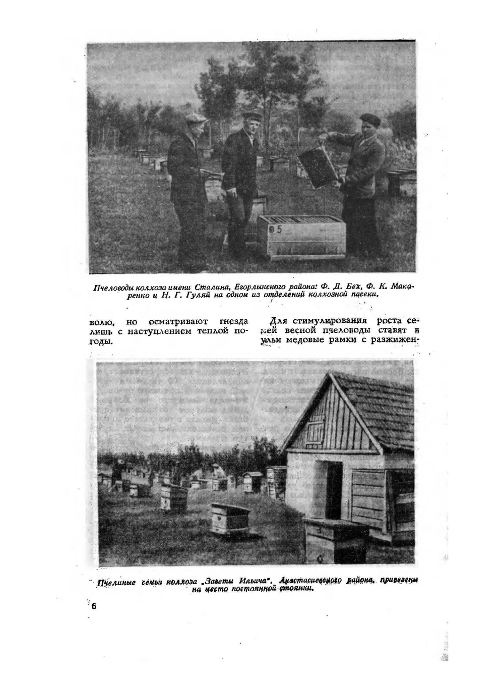 Журнал Пчеловодство 1958 года № 8 | Нет автора