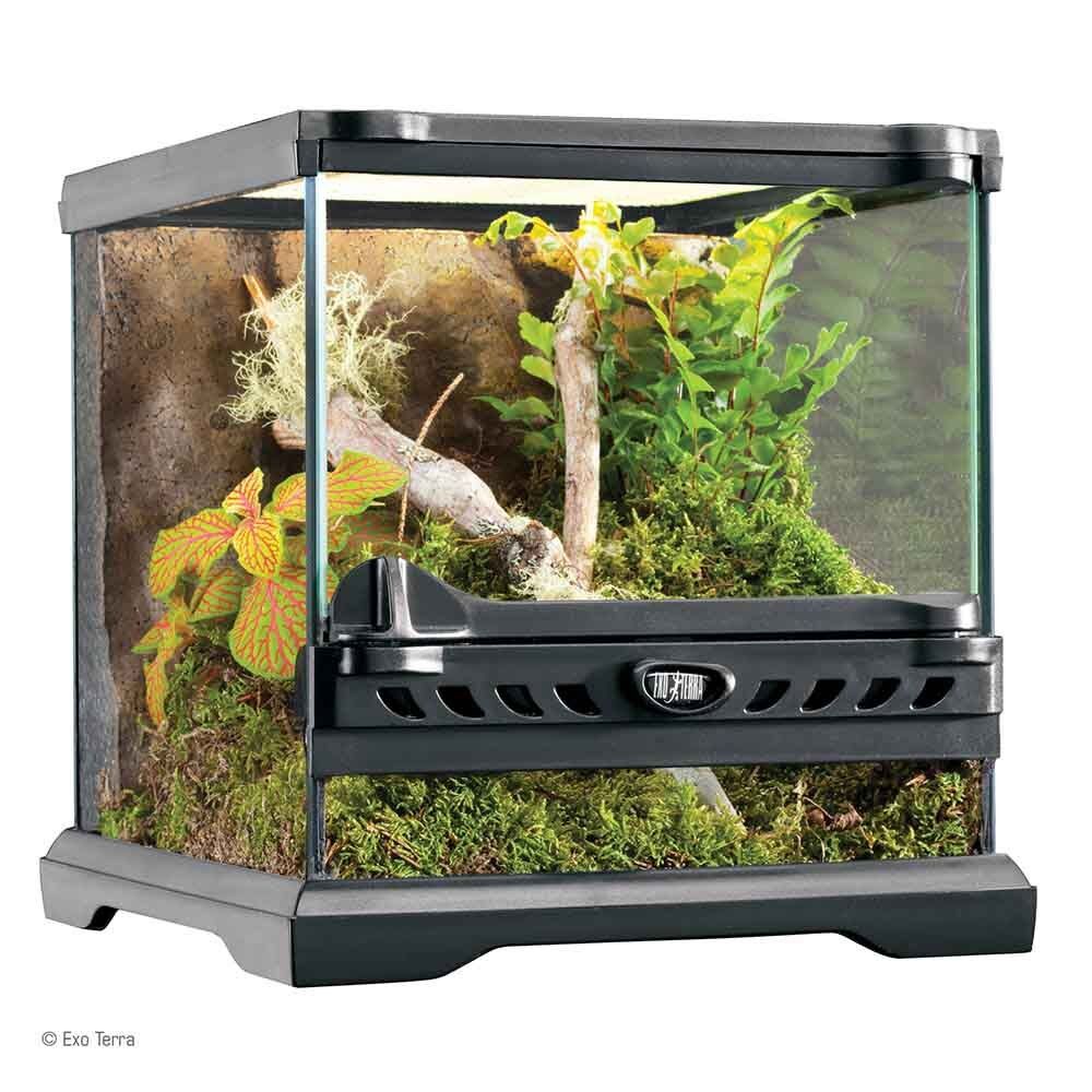 Hagen Exo Terra Terrarium Nano Wide - террариум из стекла 20x20x20см