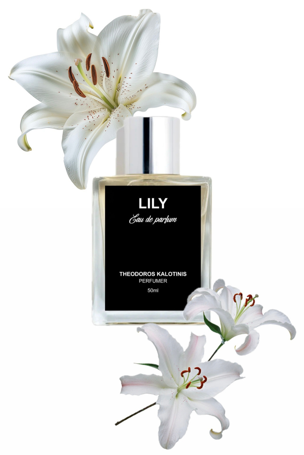 Theodoros Kalotinis Lily
