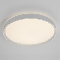 Citilux MEGA CL752450G LED RGB Светильник с пультом Белый