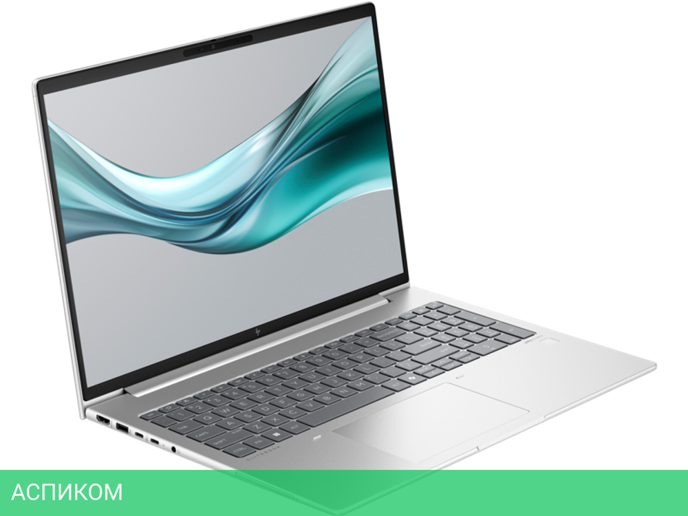 Ноутбук HP EliteBook 665 G11 Silver (8Z717AV)