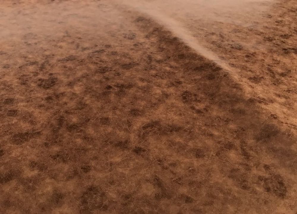 Искусственная замша Скин 07 коричневая