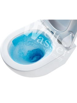 Унитаз подвесной  WeltWasser WW SALZBACH 043 MT-BL  10000010282 черный матовый