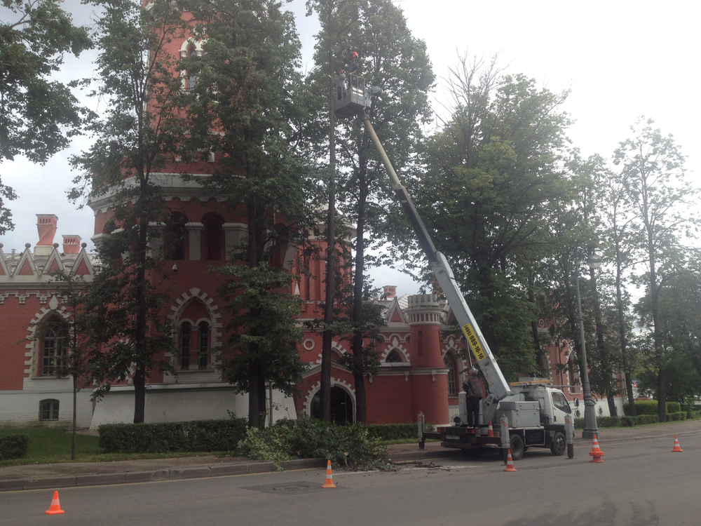 Удаление деревьев под ключ.