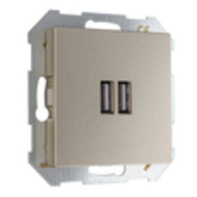 USB A+A розетка, 3400 мА LIREGUS EPSILON IUK-2-01.E/Ch шампань