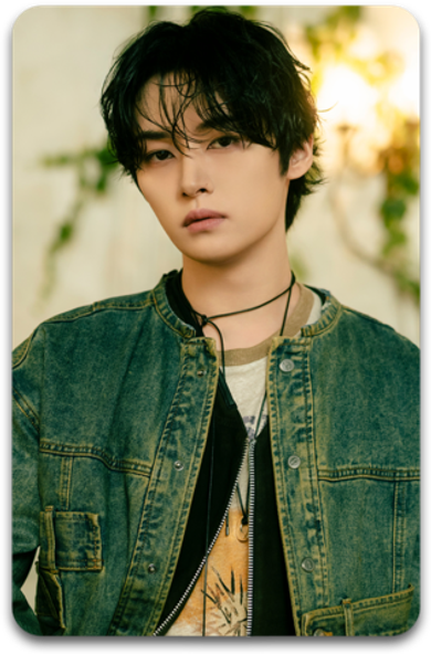 Карта / STRAY KIDS #3271