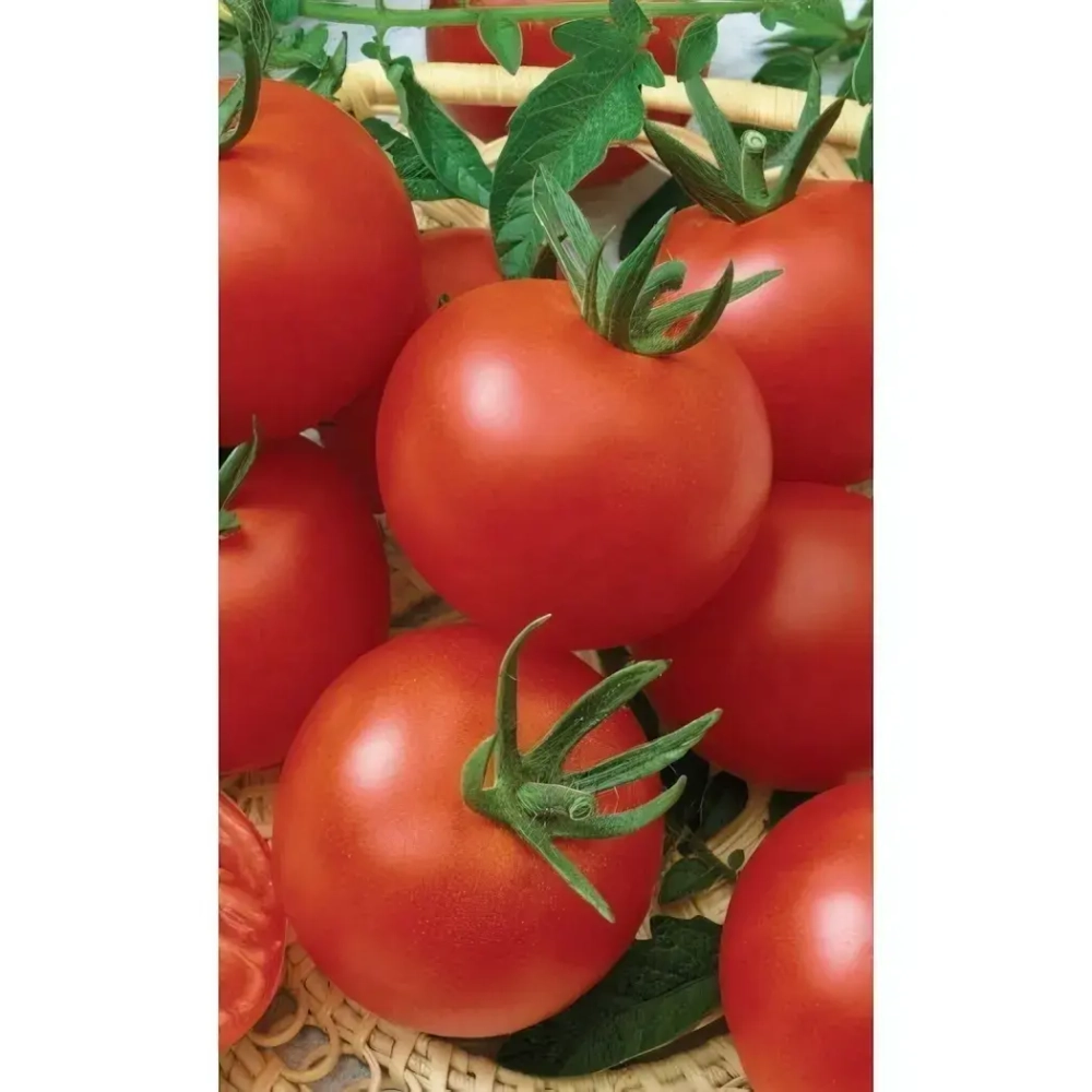 Семена Томат Снежана (Марс) Б/П