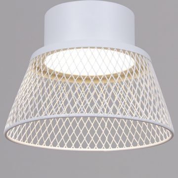 01109-0.9-01 WT светильник потолочный