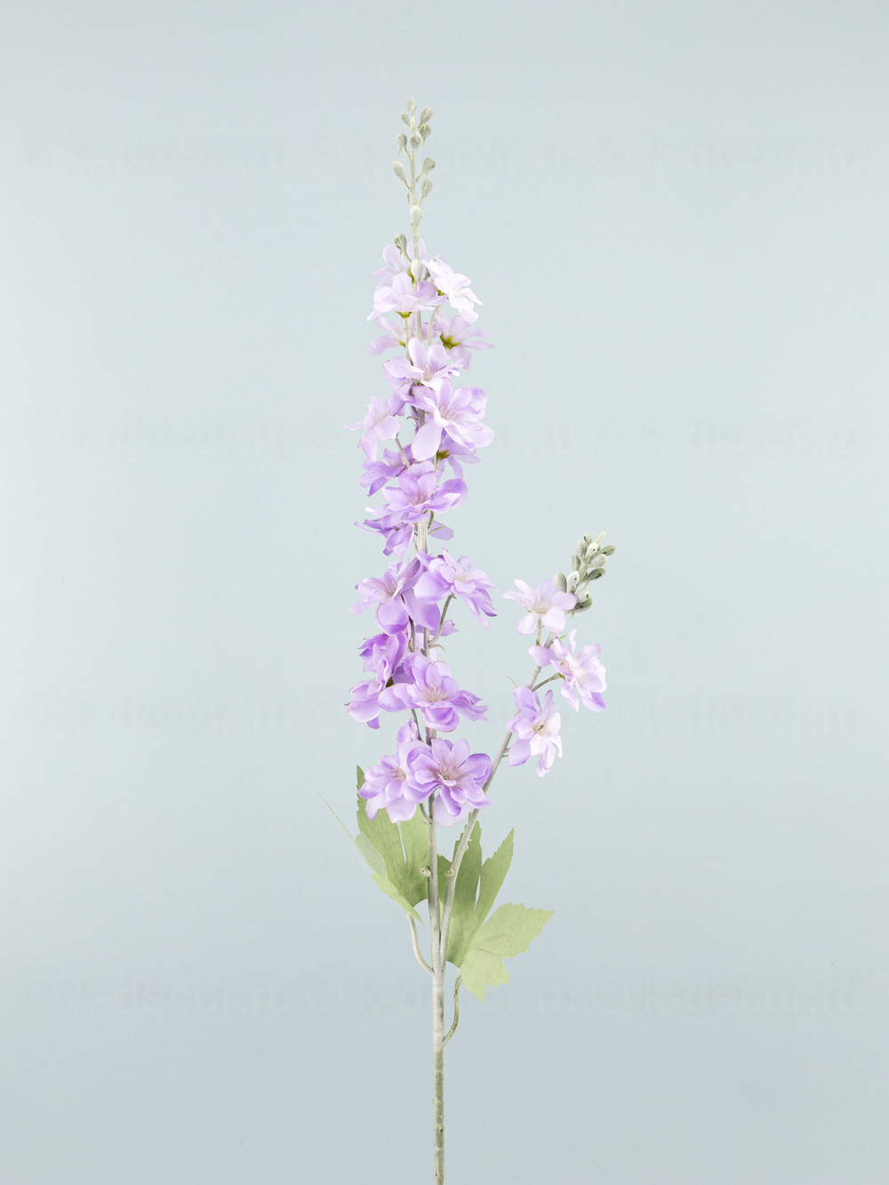 Дельфиниум Эстер