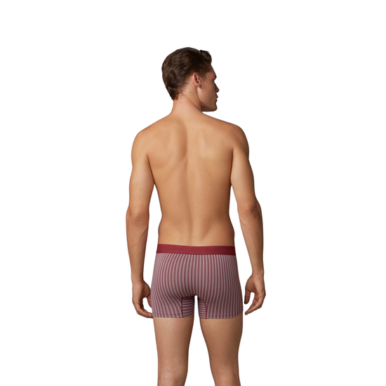 Мужские трусы боксеры бордовые в полоску Doreanse 1866
