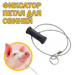 Фиксатор-петля с ручкой для усмирения свиней
