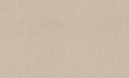 Rasch 1.06m*10m 820041 Florentine