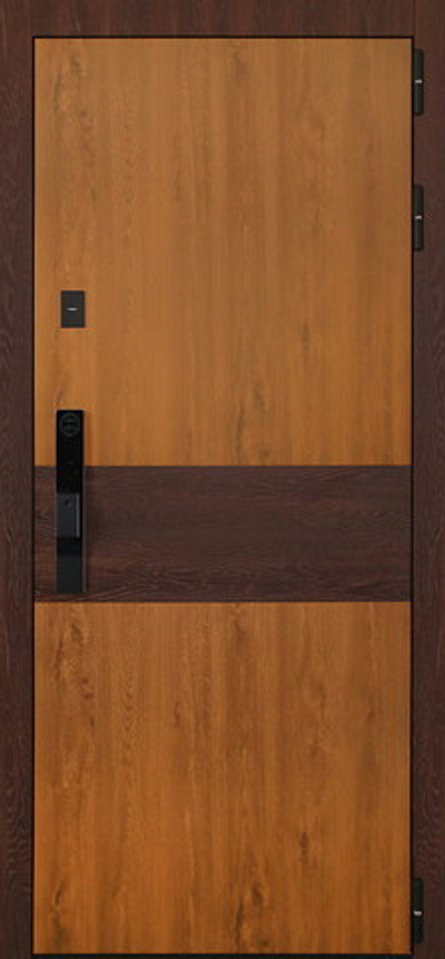 Стальная дверь "Денвер"  (биометрический замок). Заказная модель.