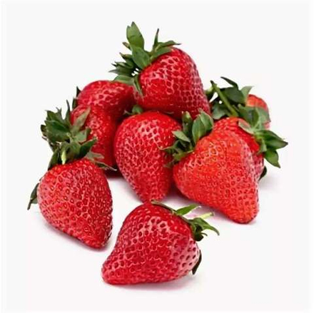 Клубника Краснодар