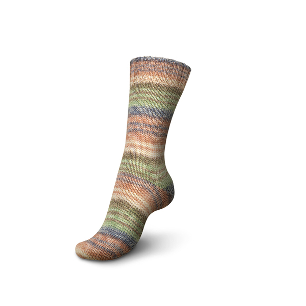 Пряжа для вязания Nordic Nature Color (06100) Schachenmayr Regia, 6 ниток (150г/375м).