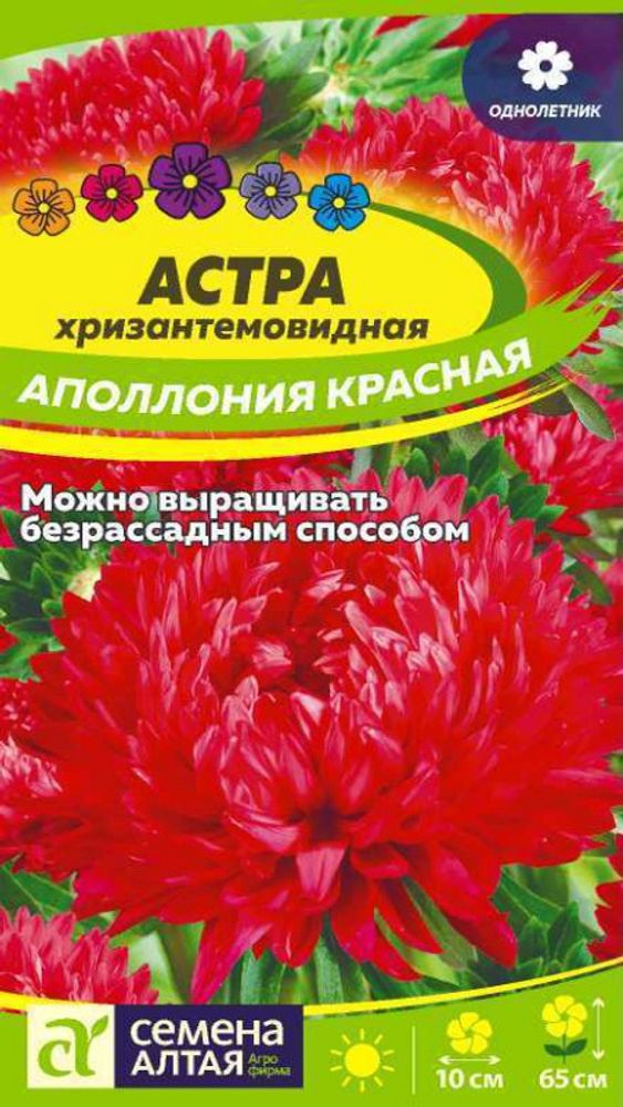 Астра хризантемовидная &quot;G. Аполлония Красная&quot; 0,2г., Россия.