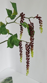 Скабиоза (лаконос) / Арт 4434