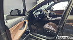 BMW X6 (G06) xDrive40i M Sports (11.2020)