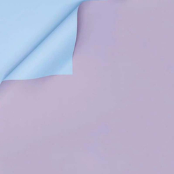 Пленка 2-х сторонняя 58*10м СВЕТЛАЯ №1