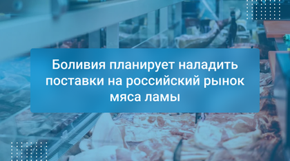 Боливия планирует наладить поставки на российский рынок мяса ламы
