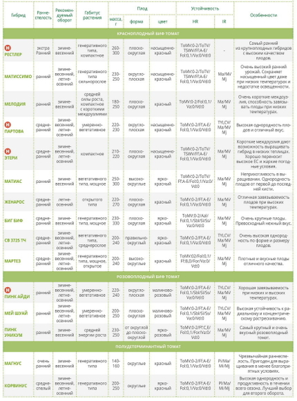МАРТЭЗ F1 семена томата Seminis цена – фото 10