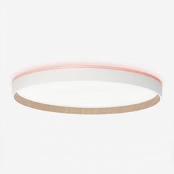 Накладной светильник Citilux ETALON CL750400R