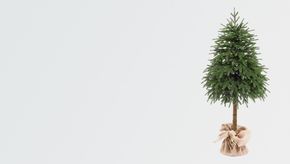 Искусственная ель Фудзи