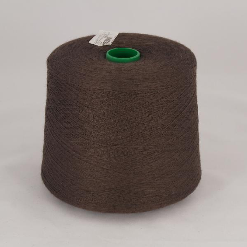 Лидия Сильвер ПШ