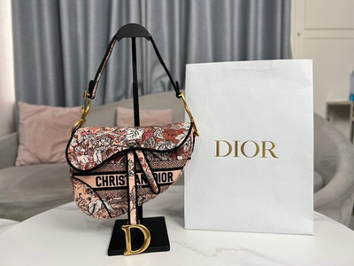Christian Dior Saddle 25 cm