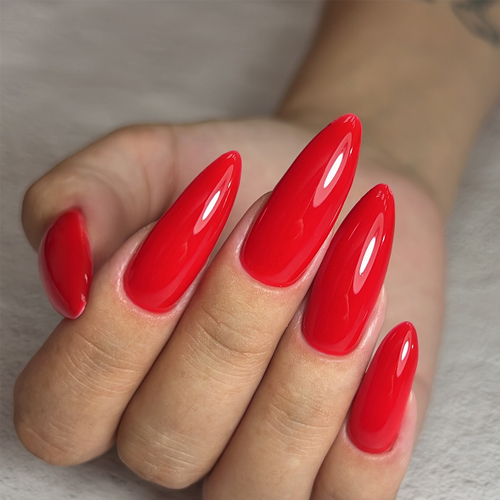 BSG Confiture Жёсткий гель №25, 13 гр