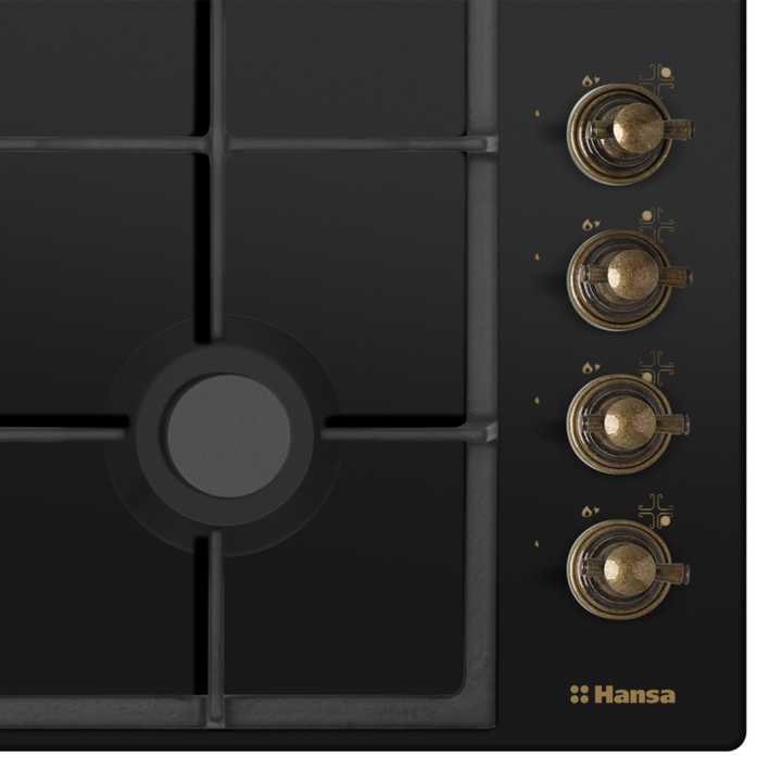 Газовая панель Hansa BHGA620390