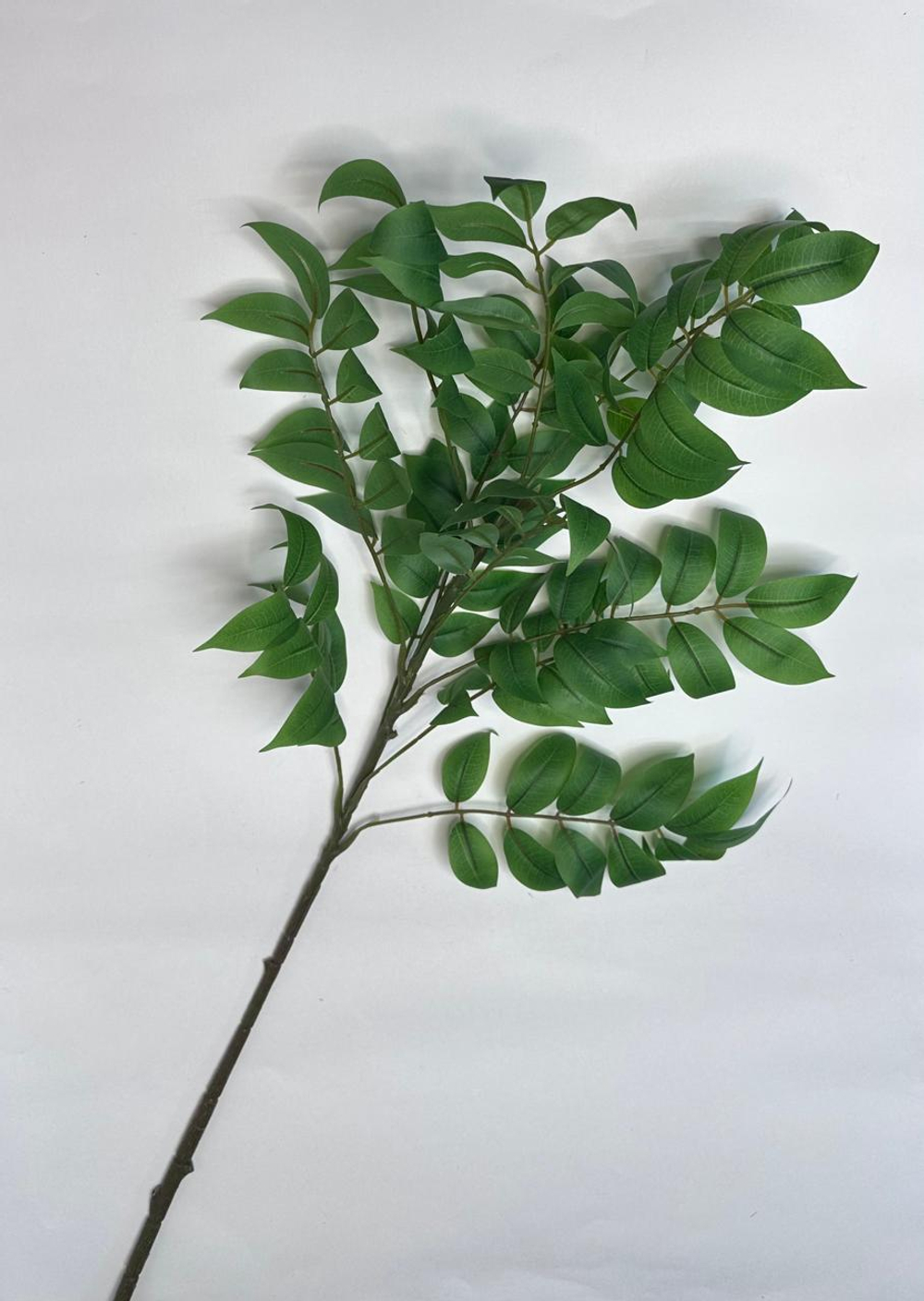 Ветка глициния листья