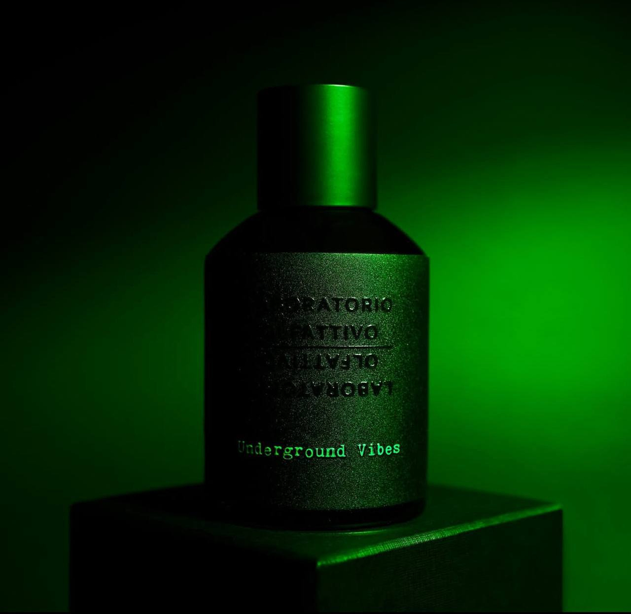 Что нового ввезли на этой неделе ? 03.02.2025