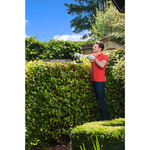 Кусторез электрический Ryobi RHT6760RL 5133003647 650 Вт