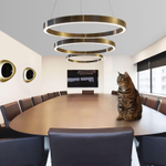 Pendant design lamp  Light Ring by HENGENG  D60