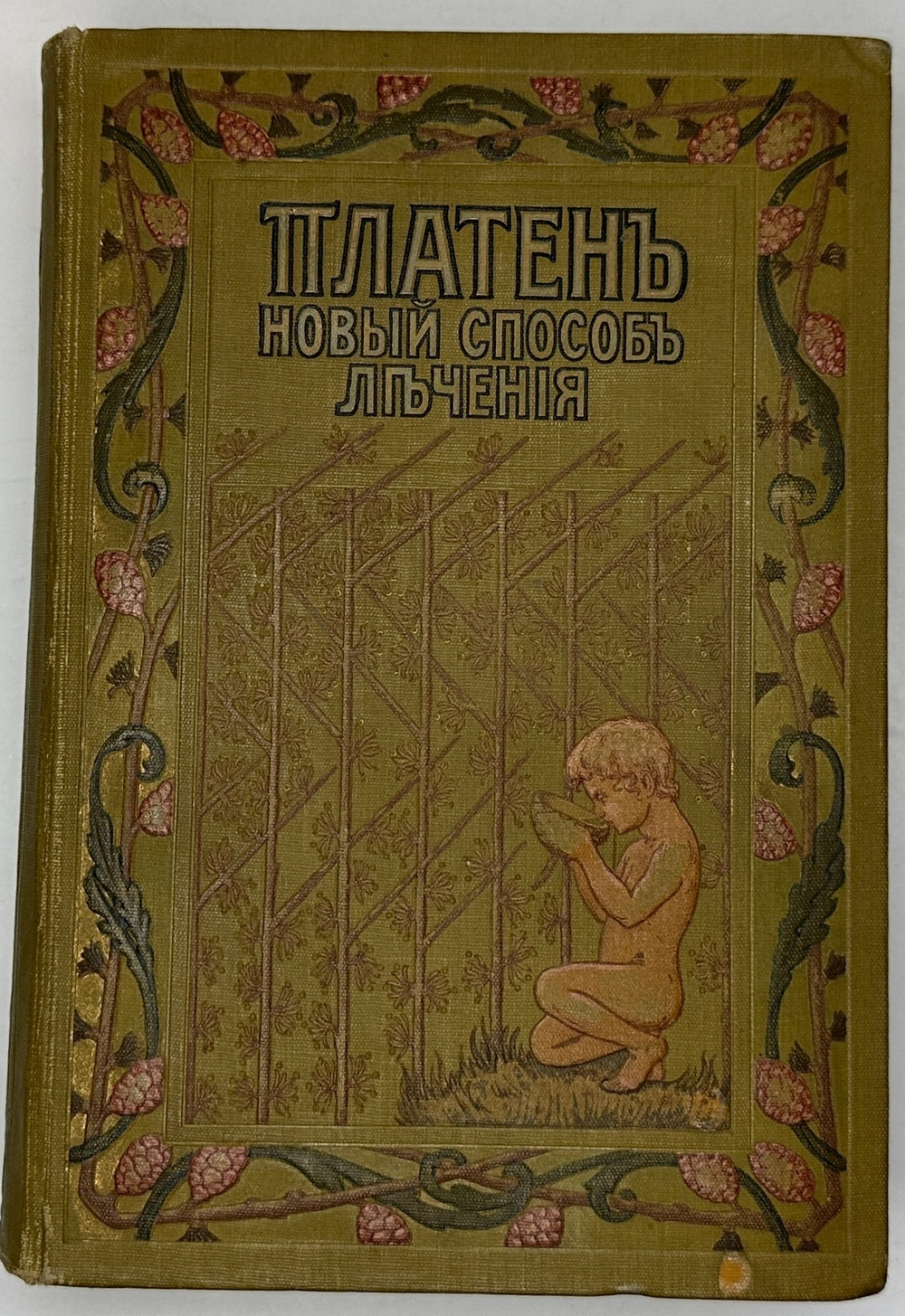 Платен М. Новый способ лечения. Лечение целебными силами природы. — Берлин: Изд. Просвещение, 1901
