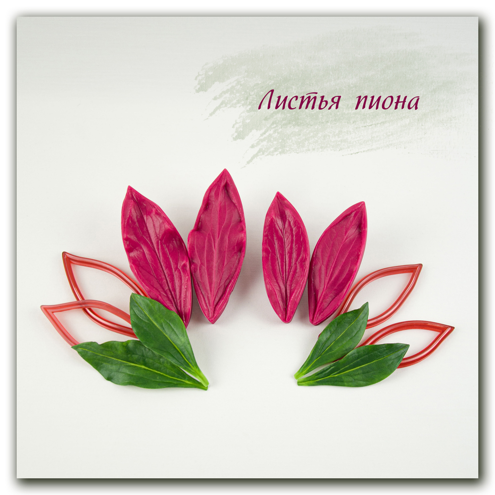 Комплект для лепки садовых пионов